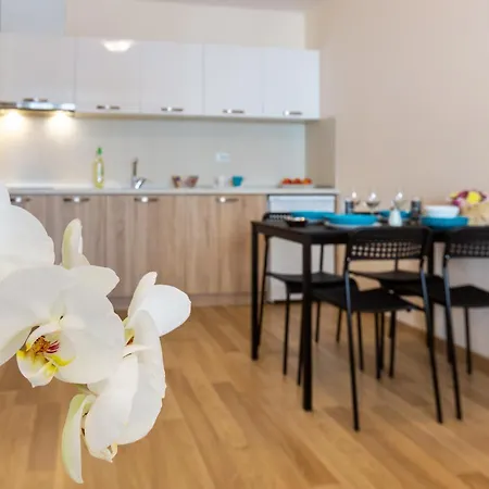 Apartamento Flora Burgas